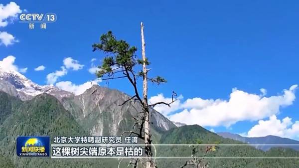 1755061971349166.jpg 22.jpg