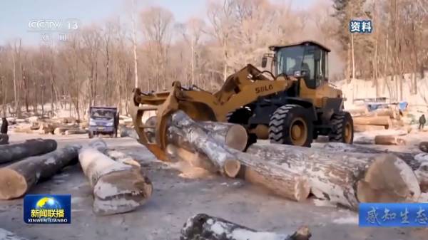 1755061982702986.jpg 33.jpg