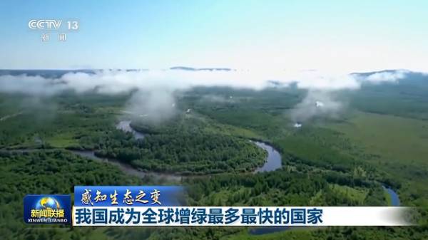 1755061989468709.jpg 44.jpg