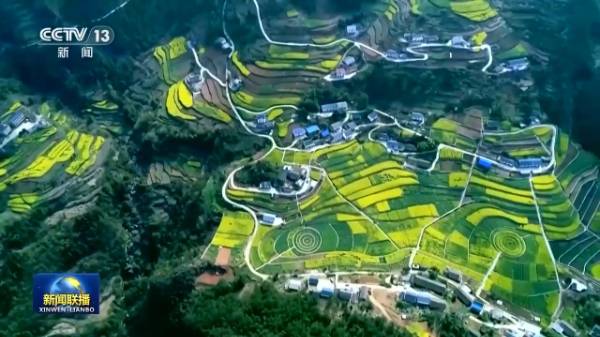 1755062046422625.jpg 111.jpg