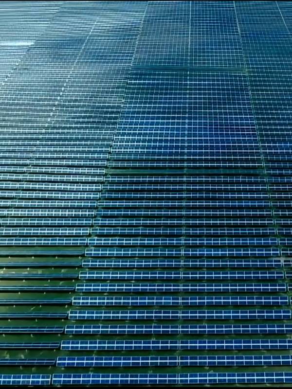 1755141397230497.png 1.png