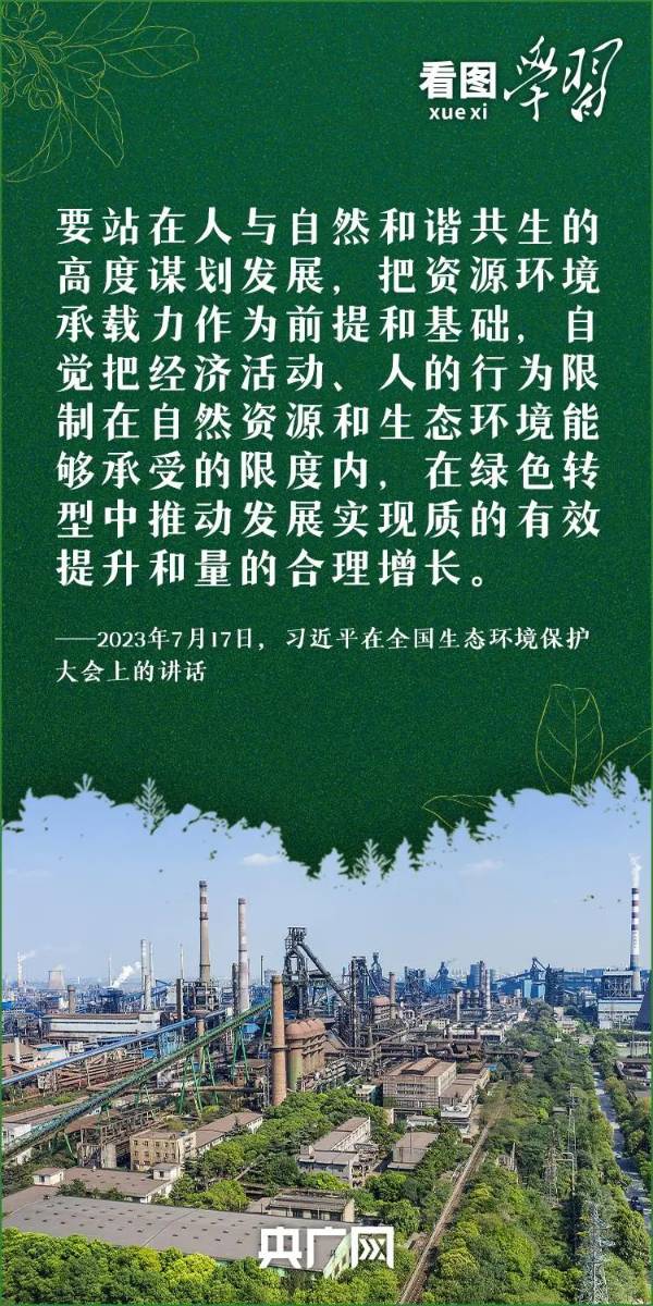 1755141864292832.jpg 3.jpg