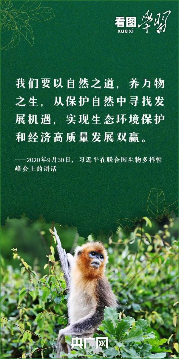 1755141875494824.jpg 6.jpg