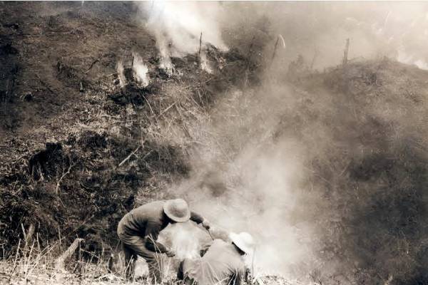 1755142282299976.png 3.png