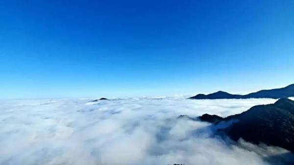 1755142302275254.jpg 6.jpg