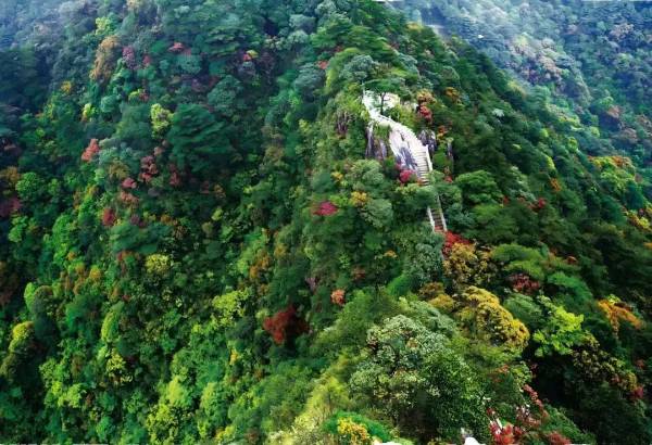 1755142308817774.jpg 7.jpg