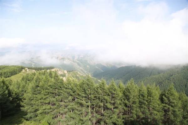 1755142689990444.jpg 2.jpg