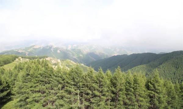 1755142755392710.jpg 4.jpg