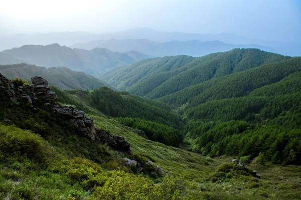 1755142786840718.jpg 5.jpg