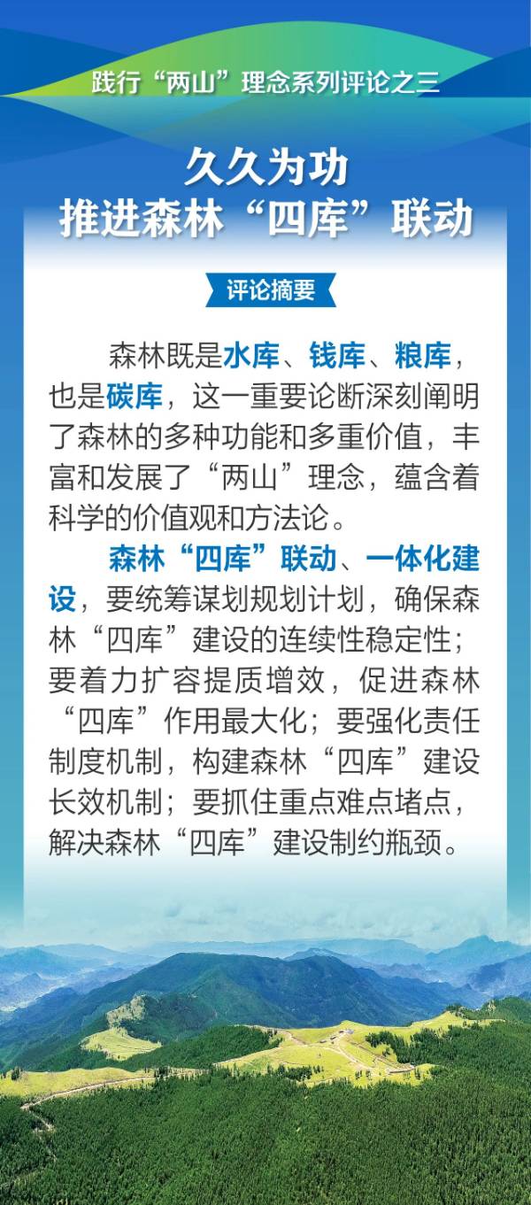 1755223173363968.jpg 3.jpg