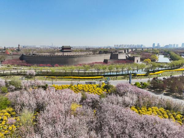 1755225212736246.jpg 4.jpg