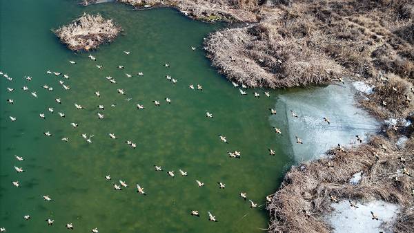 1755225309832108.jpg 8.jpg