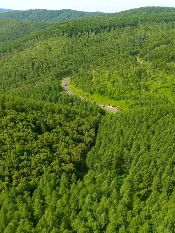 1755226666409044.png 6.png