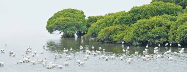 1755485973721505.jpg 1.jpg