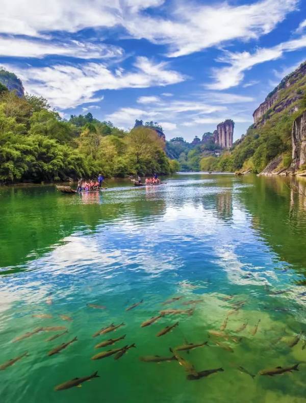 1755485986696363.jpg 3.jpg