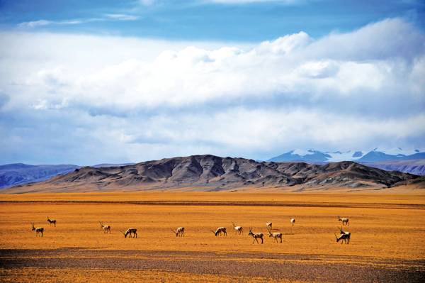 1755485993169646.png 4.png