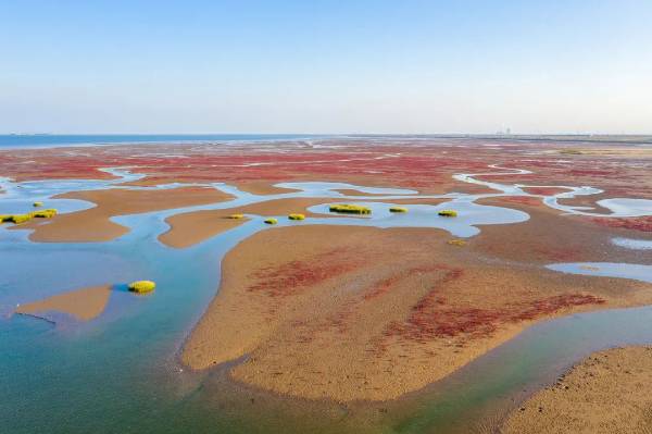 1755485999723128.jpg 5.jpg