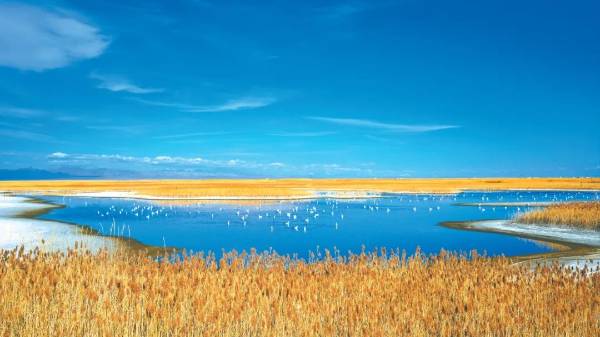 1755486020209215.jpg 7.jpg