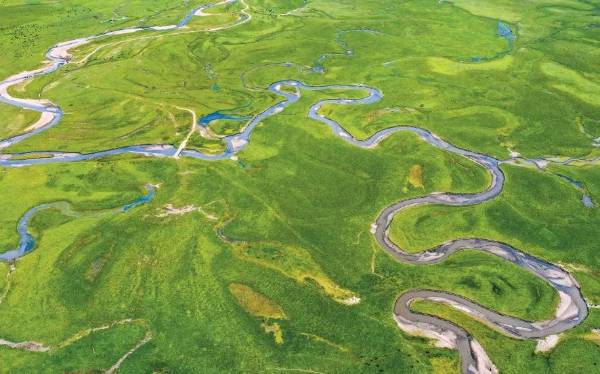 1755486044205163.jpg 10.jpg