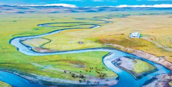 1755486052573933.jpg 11.jpg