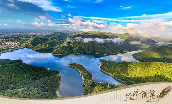 1755486240426563.jpg 47 (1).jpg