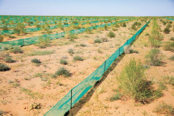 1755486687588005.jpg 18070107mvc6 (1).jpg