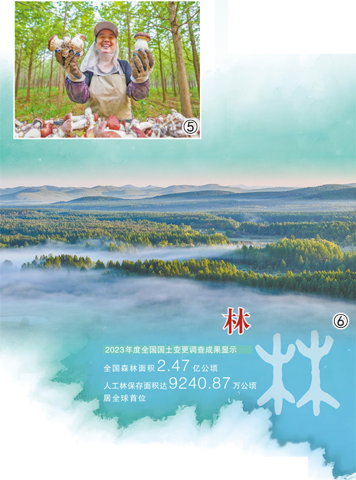 1755487260974055.jpg 3.jpg