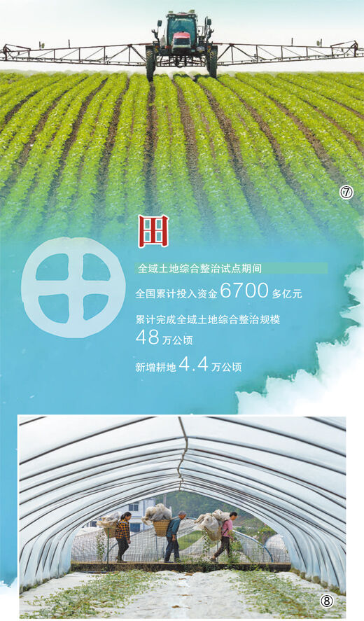 1755487264630022.jpg 4.jpg