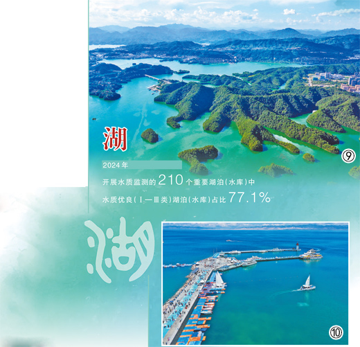 1755487267250223.jpg 5.jpg