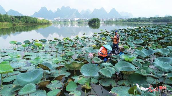 1755498916222380.jpg 1.jpg