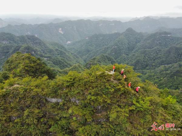 1755498928921256.jpg 3.jpg