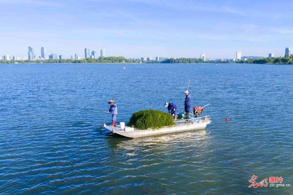 1755498942135122.jpg 5.jpg