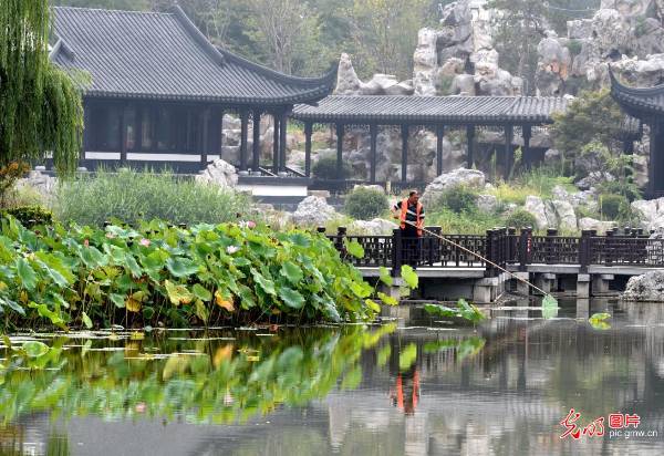 1755498947501629.jpg 6.jpg