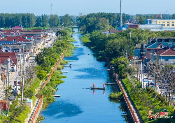 1755498953221370.jpg 7.jpg