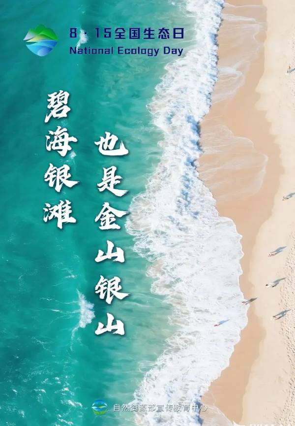 1755499007344691.jpg 9.jpg