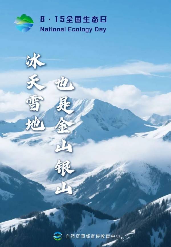 1755499011235513.jpg 10.jpg