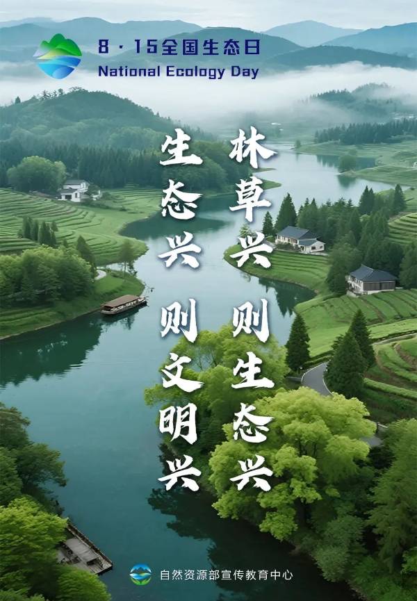 1755499017541416.jpg 12.jpg