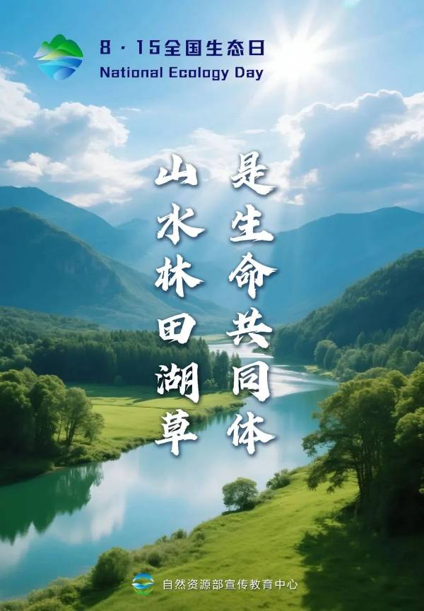 1755499022636235.jpg 13.jpg