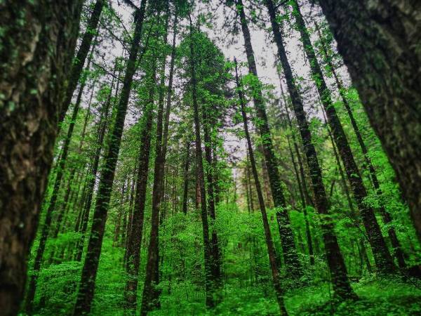 1755499488755998.png 15.png