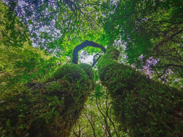 1755499497434173.png 16.png