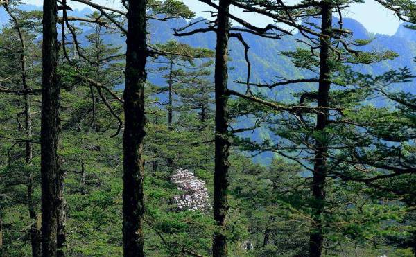 1755499504216021.png 17.png