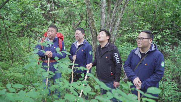 1755499520362654.png 19.png