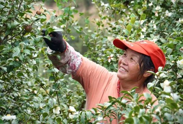 1755499699806613.jpg 23.jpg