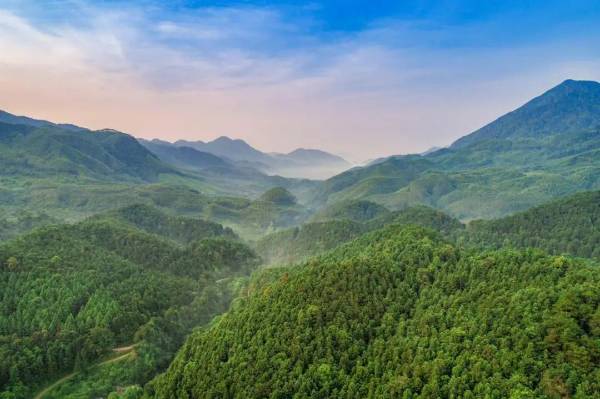 1755499749968521.jpg 21.jpg