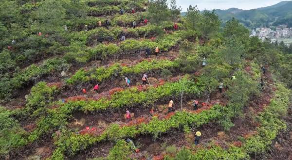 1755499764450322.jpg 22.jpg