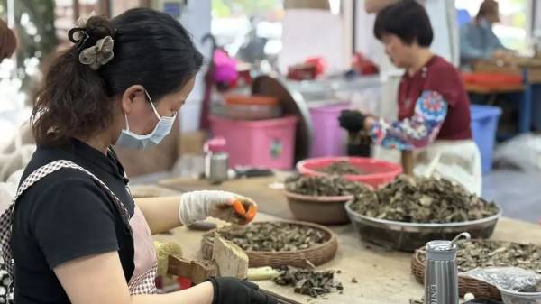 1755499779907680.jpg 24.jpg