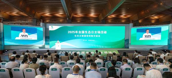 1755499936271417.jpg 28.jpg