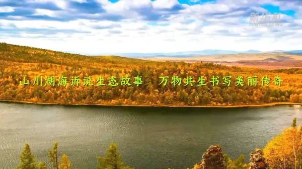 1755574746785782.jpg 2.jpg