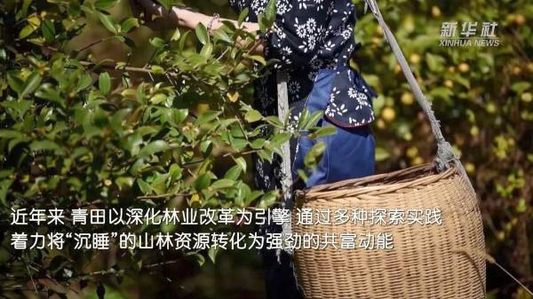 1755574754920904.jpg 3.jpg