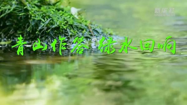 1755574782442387.jpg 6.jpg